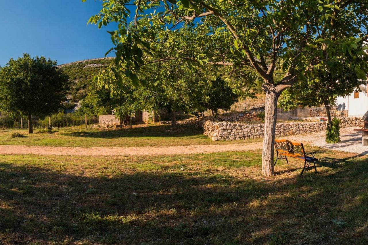 Ferienwohnung Kuca Za Odmor Lucija Vrana  Exterior foto